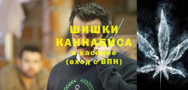 сатива Горнозаводск