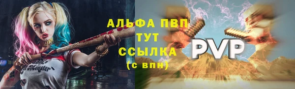 сатива Горнозаводск