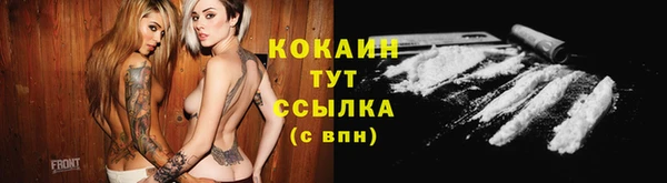 сатива Горнозаводск