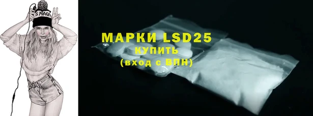 ешки Горняк
