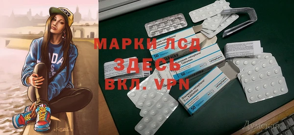 сатива Горнозаводск