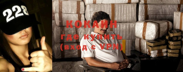 ешки Горняк
