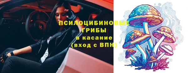 ECSTASY Горно-Алтайск