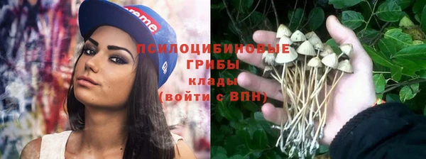 ешки Горняк
