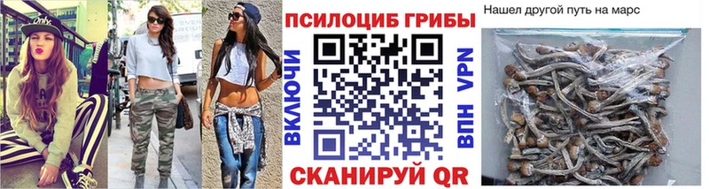 Псилоцибиновые грибы Psilocybine cubensis  цены наркотик  Невель 