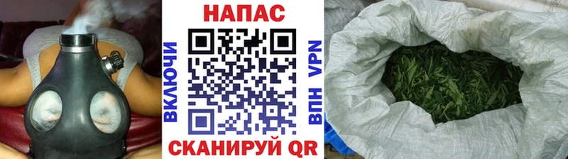 Шишки марихуана ГИДРОПОН  закладки  Невель 